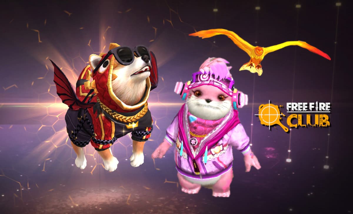 Free Fire: Garena confirma chegada de Finn, novo pet do jogo, free fire